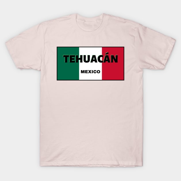 Tehuacán City in Mexican Flag Colors T-Shirt by aybe7elf